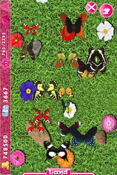 Butterfly Farm游戲截圖2