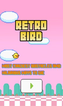 RETRO BIRD游戲截圖1