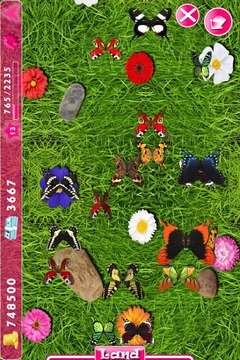 Butterfly Farm游戲截圖4