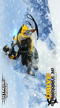 Drive Snowmobile 3D Simulator游戲截圖2