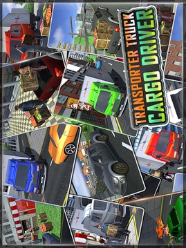 Transporter Truck Cargo Driver游戲截圖4