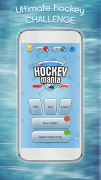 Hockey Mania: NHL, KHL, WORLD游戲截圖1