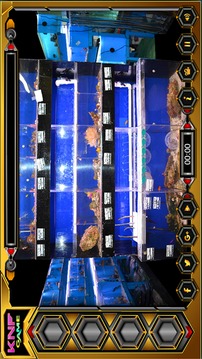 Can You Escape From Fish Shop游戲截圖5