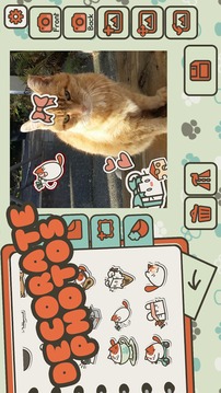 斑點(diǎn)貓游戲截圖3