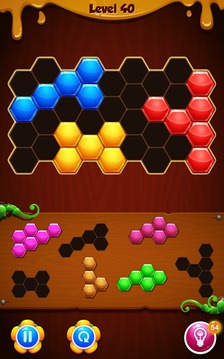 Hexa Puzzle - Block Mania游戲截圖1