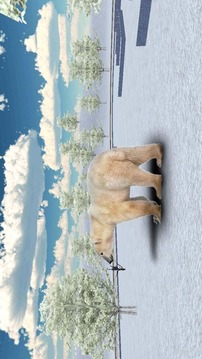 Indignant Bear 3D Attack游戲截圖3