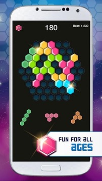 Hexa Block! Puzzle游戏截图3