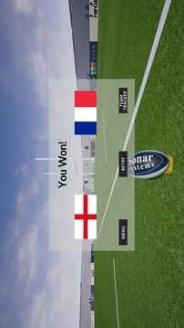 Rugby World Cup游戲截圖5