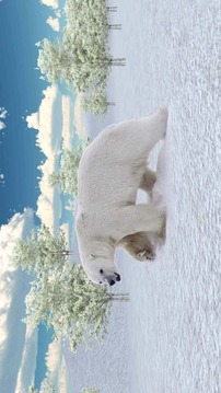 Indignant Bear 3D Attack游戲截圖2