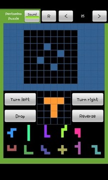 Pentomino Puzzle Game游戲截圖1