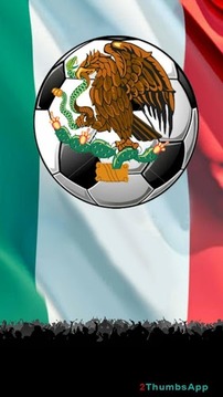 足球墨西哥联赛游戏截图1