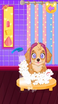 Paw Beauty Salon游戲截圖2