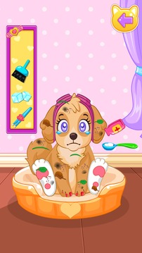 Paw Beauty Salon游戲截圖1