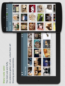 Jigsaw Puzzles Cats游戲截圖1