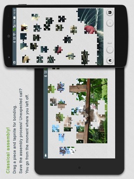 Jigsaw Puzzles Cats游戲截圖2
