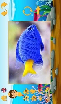 拼圖魚。游戲截圖4
