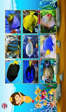 拼圖魚。游戲截圖2