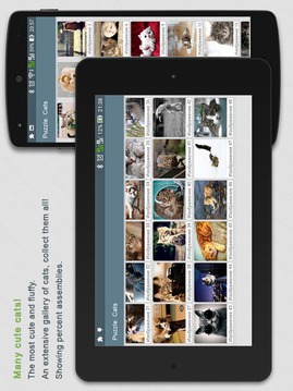 Jigsaw Puzzles Cats游戲截圖5