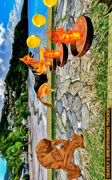 Scooby Subway dog run游戲截圖3