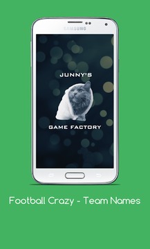 Football Crazy - Team Names游戲截圖2