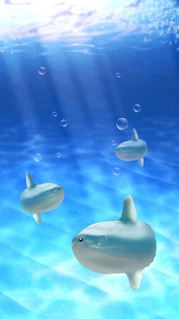 Aquarium sunfish simulation游戲截圖2