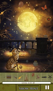 Hidden Object - Cat Tailz Free游戲截圖4