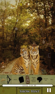 Hidden Object - Cat Tailz Free游戲截圖2
