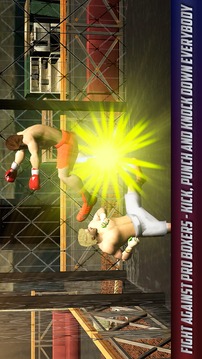 Thai Box Fighting Tiger 3D游戲截圖3