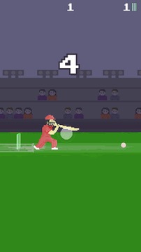 Pixel Cricket Game游戲截圖3