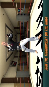 Karate Fighting Tiger 3D - 2游戲截圖1