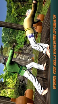 Karate Fighting Tiger 3D - 2游戲截圖4