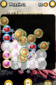 Flowers Bloom Match 3 Game游戲截圖5
