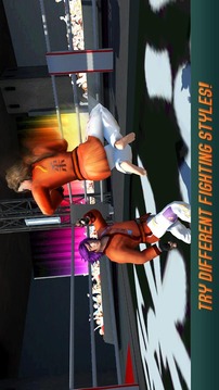 Karate Fighting Tiger 3D - 2游戲截圖2