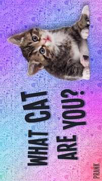 Face Scanner Cats Prank游戲截圖4
