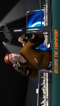 Karate Fighting Tiger 3D - 2游戲截圖5