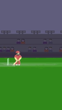 Pixel Cricket Game游戲截圖4