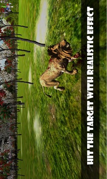 Hunting Jungle Animal游戲截圖1