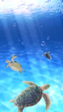 Aquarium Sea Turtle simulation游戲截圖2