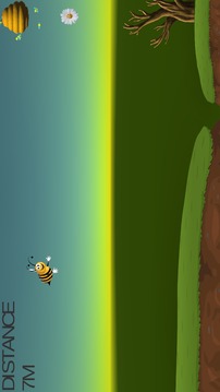 collect bee flower游戲截圖1