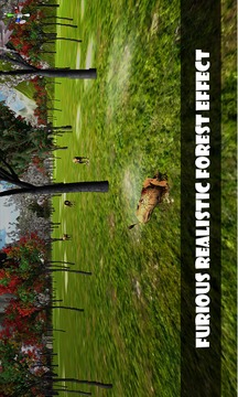 Hunting Jungle Animal游戲截圖3
