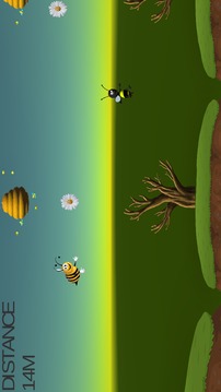 collect bee flower游戲截圖2