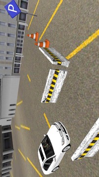C180 Driving Simulator游戲截圖4