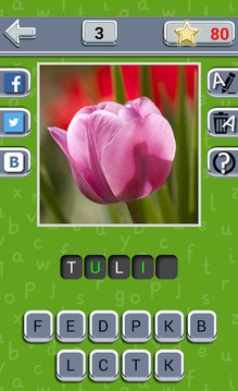 Guess the Flower游戲截圖4