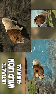 Angry Lion Jungle Survival 3D游戲截圖1