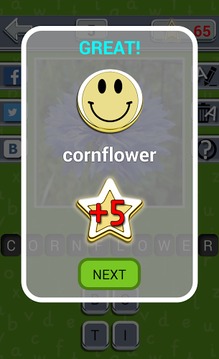 Guess the Flower游戲截圖5