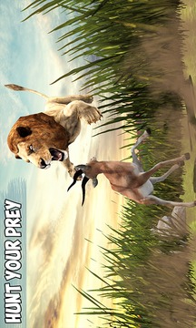 Angry Lion Jungle Survival 3D游戲截圖2