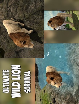 Angry Lion Jungle Survival 3D游戲截圖5