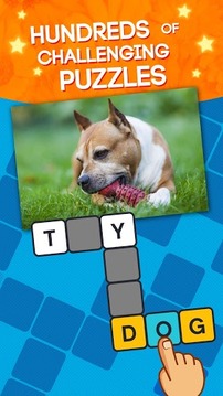 WordStar - Word Star Crossword游戲截圖1