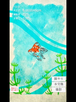 治愈系-金魚養(yǎng)成游戲截圖5