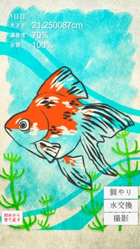 治愈系-金魚養(yǎng)成游戲截圖3